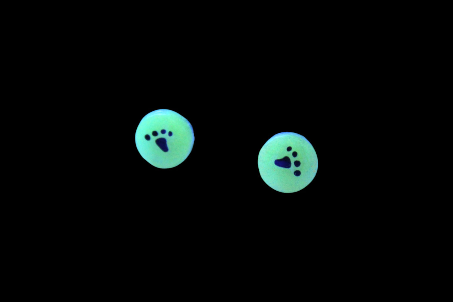Cercle Fluo et Chat Noir
