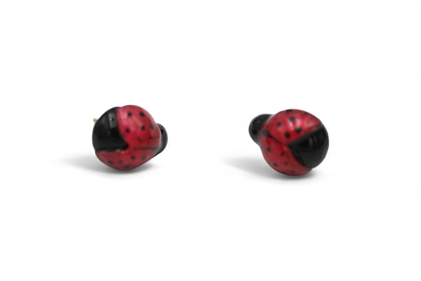 Coccinelle Demoiselle