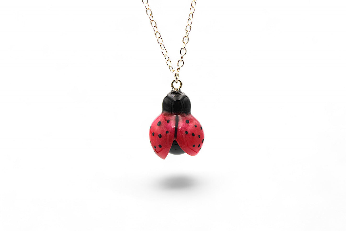 Coccinelle Demoiselle