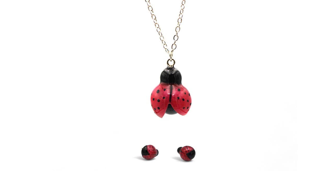 Coccinelle Demoiselle